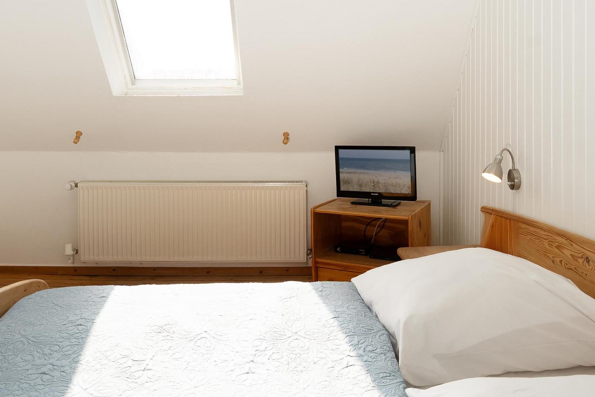 Seepferdchen * Fehmarn