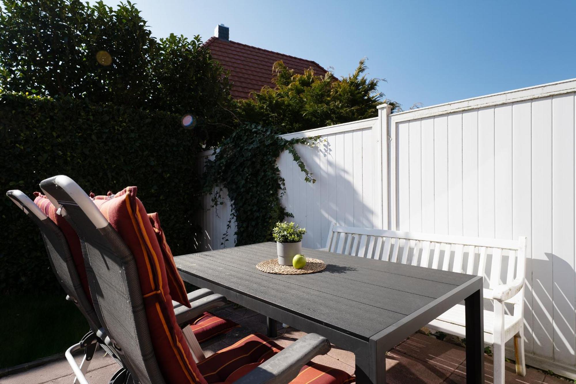 Seepferdchen Fehmarn